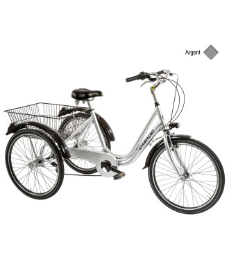 Tricycle Casadei 24 pouces gris argent