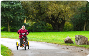 tricycle adulte confiance chute stabilité