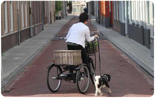 vélo tricycle plaisir balade