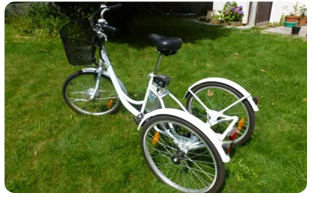 tricycle adulte handicap moins effort