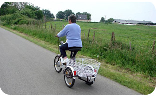 Tricycle adulte électrique quels avantages